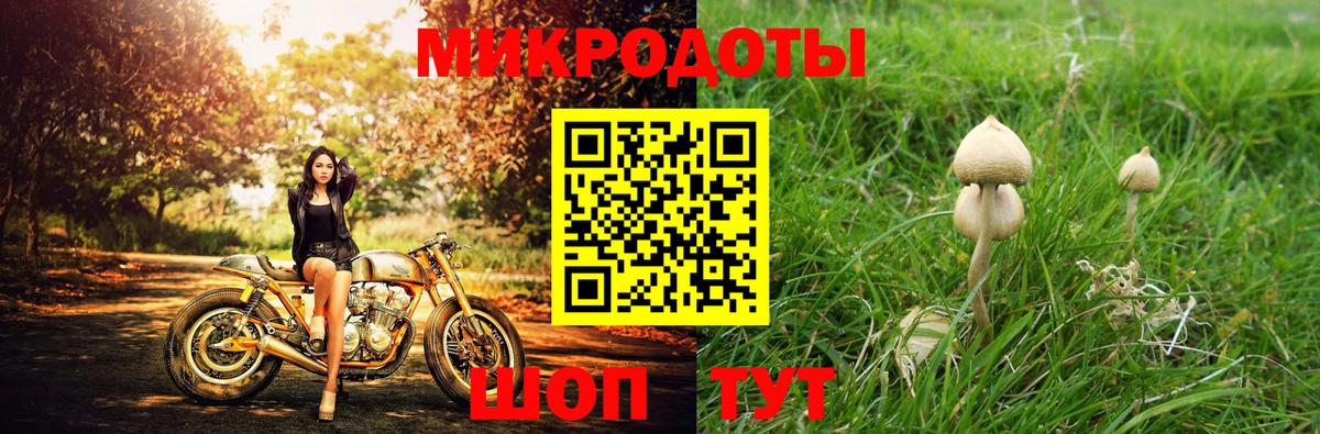 купить   Псилоцибиновые грибы GOLDEN TEACHER  Вход с VPN  Зеленогорск  Псилоцибиновые грибы Psilocybine cubensis 